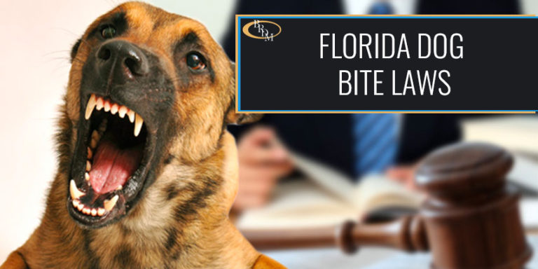 Florida Dog Bite Laws
