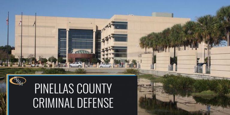 Pinellas County Criminal Defense Cases